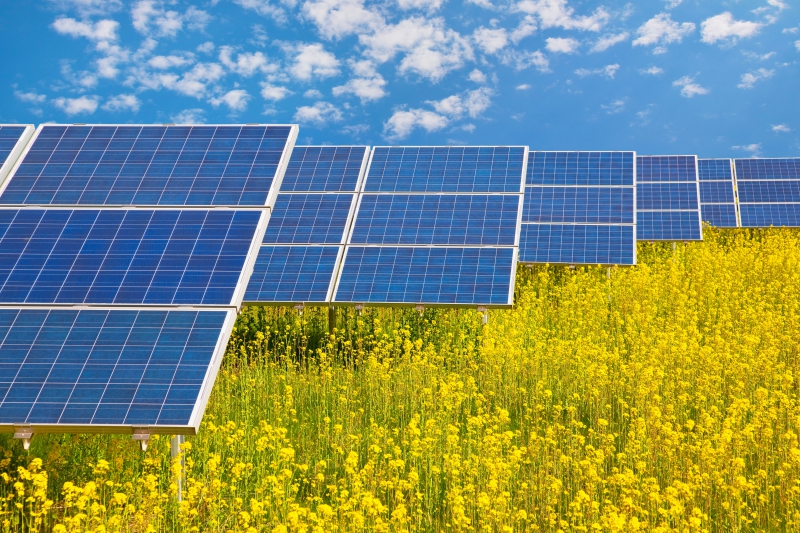 Top 10 nhà cung cấp tấm pin năng lượng mặt trời hàng đầu thế giới